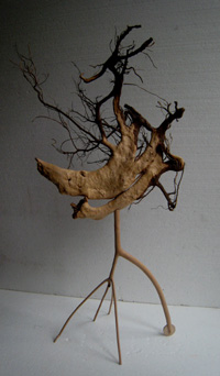 Roots - 2010 - wood - 760mm x 230mm x 420mm