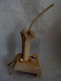 Diagnosis - 2014 - wood - 560mm x 320mm x 200mm